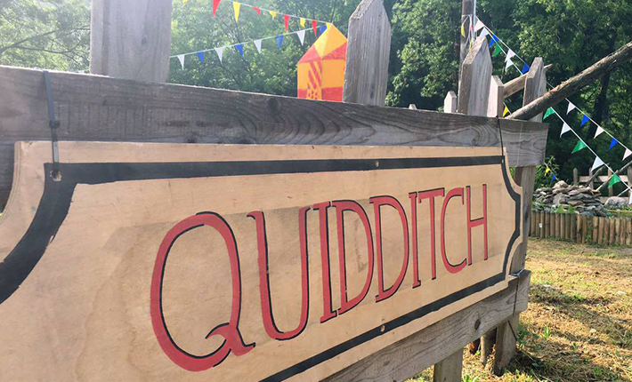Il Campo da Quidditch